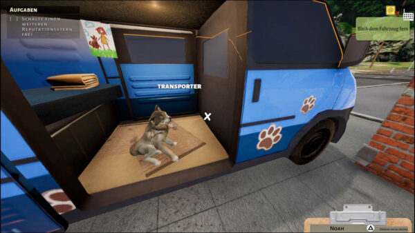 In einem blauen Transporter sitzt im hinteren Bereich ein brauner Hund, der nun einen neuen Besitzer bekommen wird.
