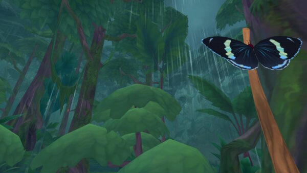 Im Hintergrund regnet es und es ist ein Dschungel zu sehen. Im Vordergrund sitzt auf einem braunen Stock ein schwarz-grüner Schmetterling.